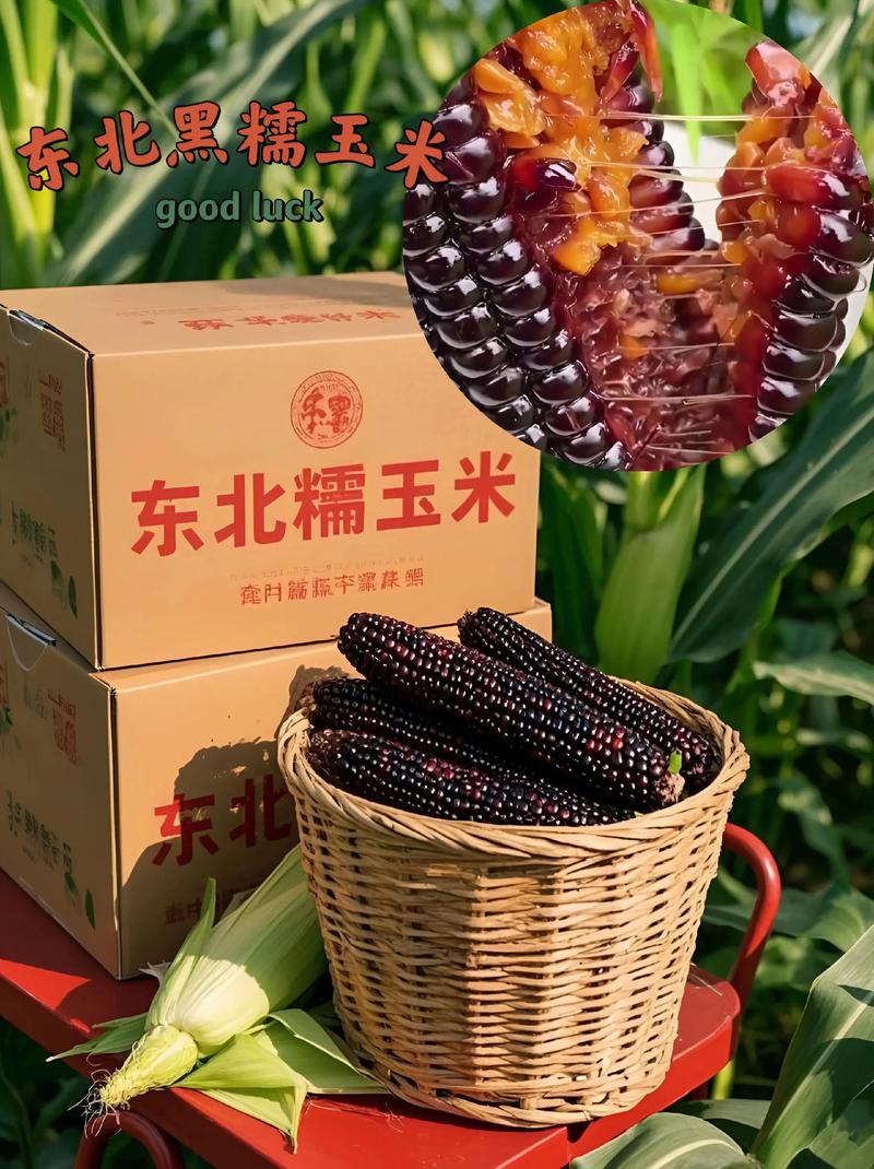黑龙江土特产批发